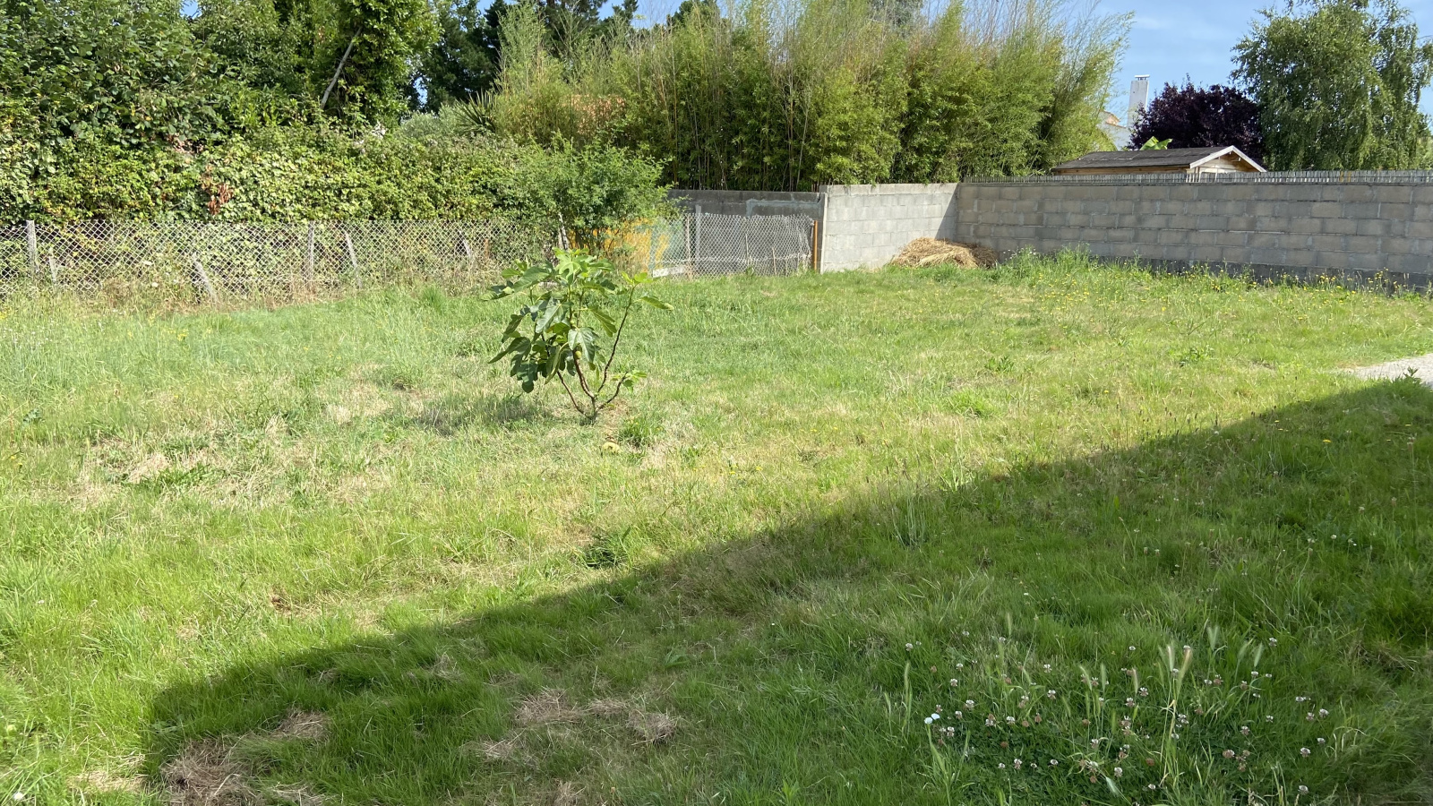 Image_13, Maison, L'Île-d'Olonne, ref :1152